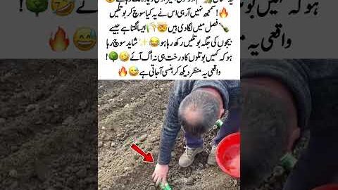 Man Plants Bottles Instead of Seed🧑‍🌾🍾#Viral #Funny #Farming #Crazy #Trending #MustWatch #USA #UK