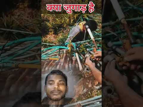 नल जल का जुगाड़। #shorts #ytshots #funny #trending #comedy #viral #video #viralvideo #reactionjawab