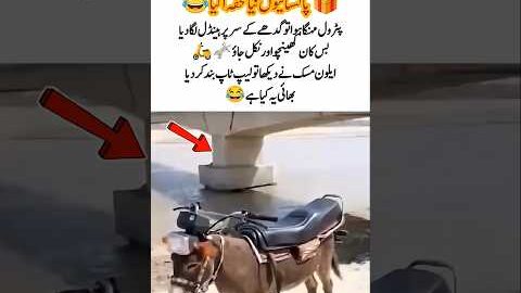 Pakistan Just Invented the World’s Cheapest Motorcycle 😱 You Won’t Believe This #shorts #viralshorts