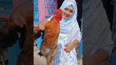 Muslim style desi chicken recipe #shorts #recipe #desichiken #viralshorts