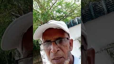 முருங்கைக்காய் வாங்குவோம் வாங்க..