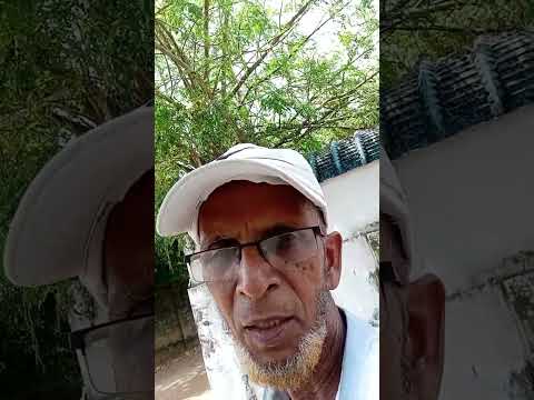 முருங்கைக்காய் வாங்குவோம் வாங்க..