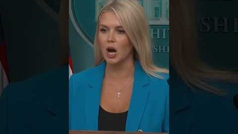‘What a stupid question’: Karoline Leavitt reacts to reporter’s question about parade protests