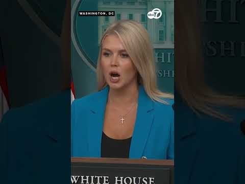 ‘What a stupid question’: Karoline Leavitt reacts to reporter’s question about parade protests