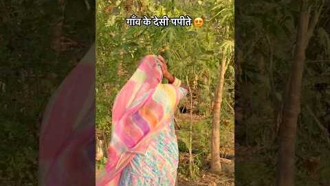 देसी पपीते 😍 #food #fruit #desi #khana #village #youtubefeed #shorts #viral