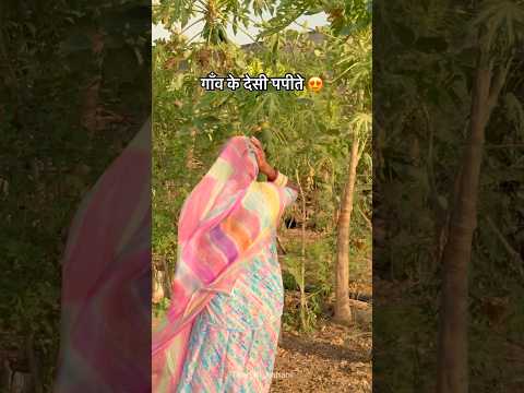 देसी पपीते 😍 #food #fruit #desi #khana #village #youtubefeed #shorts #viral