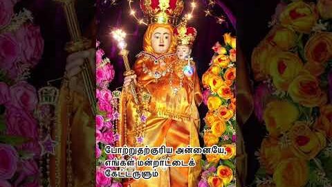 Annai Velankanni madha Car Procession #trending #short #viral #velankanni #velankannimadha #fe #fyp