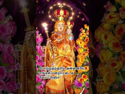 Annai Velankanni madha Car Procession #trending #short #viral #velankanni #velankannimadha #fe #fyp