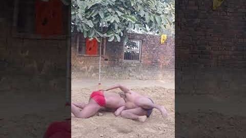 pahalwan 🤼♂️🚩💪#youtubeshorts #motivation #pahalwan #desi