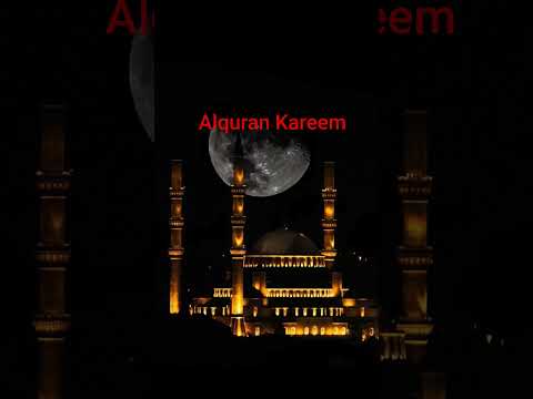 Beautiful Islamic status on Muslim 4k Islamic status  #Islam #allah #ytshort like Camnts subscribe