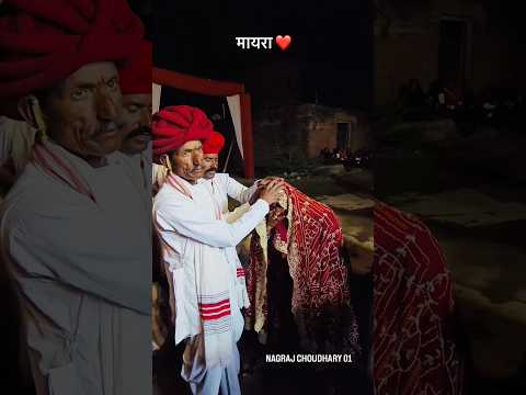 मायरा ❤️#rajasthani #marwadi #wedding #trending #viral #vlog #shadi #culture #desi #shorts