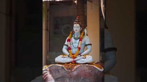 #mahadev #bholenath #harharmahadev #shiv #shiva #bhole #shivshankar #shivbhakt #mahakal #ytshorts