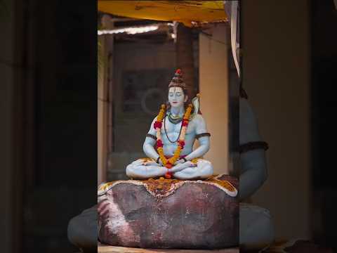 #mahadev #bholenath #harharmahadev #shiv #shiva #bhole #shivshankar #shivbhakt #mahakal #ytshorts