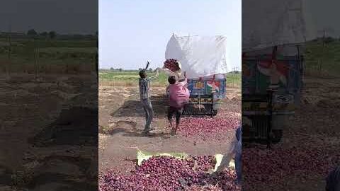 Amazing Desi Jugaad by Farming #Desi #Jugaad #Jugad #Farming #Kheti #Khetibadi #Agriculture #easy
