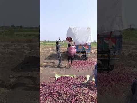 Amazing Desi Jugaad by Farming #Desi #Jugaad #Jugad #Farming #Kheti #Khetibadi #Agriculture #easy