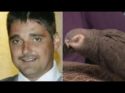 Parrot Was Key ‘Witness’ in Murder Trial as Woman Is Convicted of Killing Husband