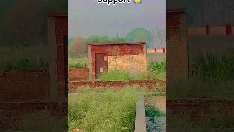 ffg poultry farming #farminglife#farmingstruggles #farmer #desi