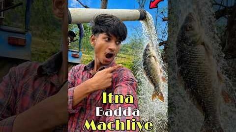 Itna बड़ी machliye pakad li desi jaal se | Mini Vlog #minivlog #bigfish #machlipakadna #fishing