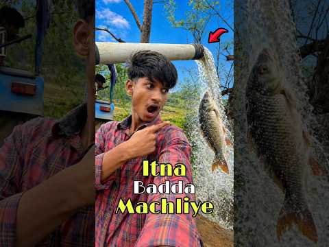 Itna बड़ी machliye pakad li desi jaal se | Mini Vlog #minivlog #bigfish #machlipakadna #fishing