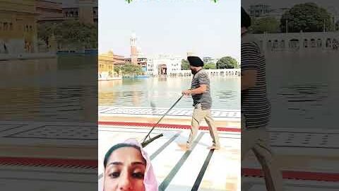 #Sewa#shorts#trending#youtubeshorts#sridarbarsahib#amritsar#india#amrican#london#usa#love#viral#song