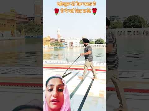 #Sewa#shorts#trending#youtubeshorts#sridarbarsahib#amritsar#india#amrican#london#usa#love#viral#song