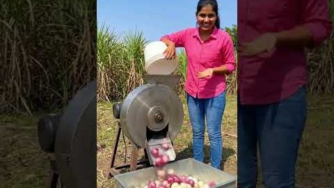 देसी जुगाड़ से प्याज सिले #desi #jugaad #trending #chacha #jugad #reel #reels #रील्स #desijugaad #ai