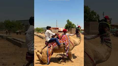 मेला 😍 #rajasthan #village #desi #youtubeshort #marwadilife #desertlens #barmer #shorts