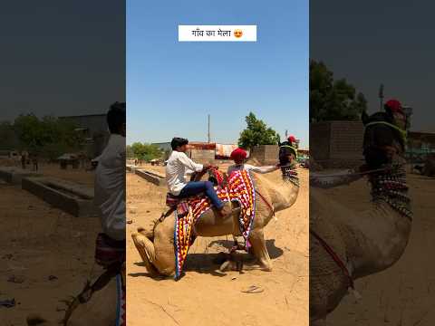 मेला 😍 #rajasthan #village #desi #youtubeshort #marwadilife #desertlens #barmer #shorts