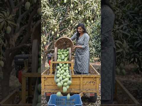 Desi jugaad km mehnat or km kharch #viral #lifeisbutadream #farming #trending shorts #youtube shorts