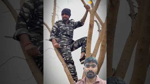 पेड़ पर चढ़ रहे हैं फौजी #army #shortsfeed #comedy #trending #indianarmy #viralworld