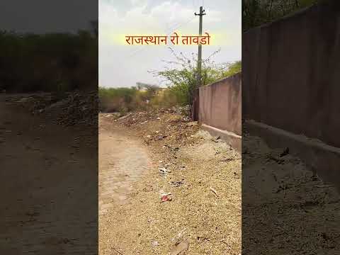 राजस्थान रो तावडो #rajasthani #shortsfeed #youtubeshorts #desi #vlog #gaon #shorts #viral