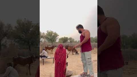 Desi life #shorts #desi