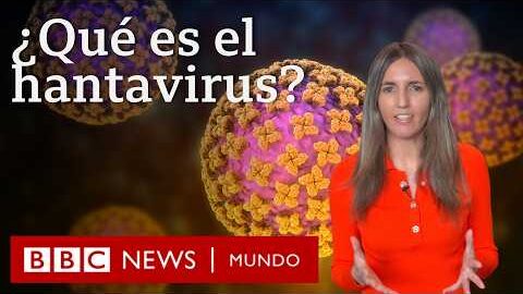 Qué es el hantavirus y cuáles son los síntomas del virus que causó 3 muertes en un crucero