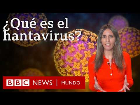Qué es el hantavirus y cuáles son los síntomas del virus que causó 3 muertes en un crucero