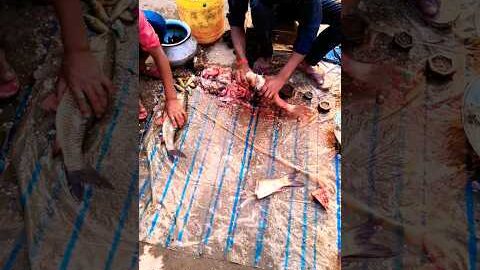 fish cutting…. ✂️ #trending #fish #cuttingskills #explore #desi #vlog #nonveg #shorts