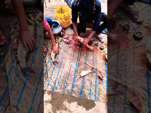 fish cutting…. ✂️ #trending #fish #cuttingskills #explore #desi #vlog #nonveg #shorts