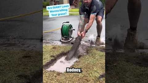 These GIANT Lawn Worms will give you nightmares. With @theunblockersaus
