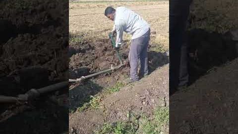 Amazing Desi Jugaad by Farming #Desi #Jugaad #Jugad #Farming #Kheti #Khetibadi #Agriculture #easy