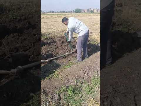 Amazing Desi Jugaad by Farming #Desi #Jugaad #Jugad #Farming #Kheti #Khetibadi #Agriculture #easy