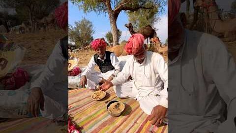 गाँव का शुद्ध और सबसे महंगा खाना #rajasthani #village #cooking #food #desi #life #style #shorts