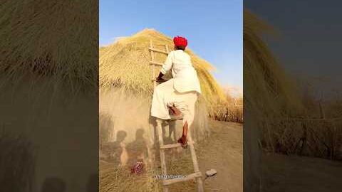 थार का ग्रामीण जीवन 🥰 #villagelife #travel #home #thar #desi #desert #life #reels #shorts #summer