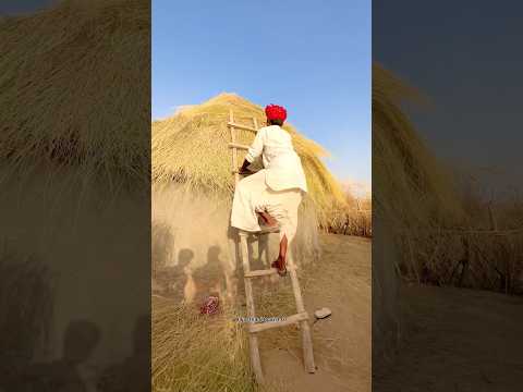 थार का ग्रामीण जीवन 🥰 #villagelife #travel #home #thar #desi #desert #life #reels #shorts #summer