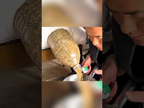 Ye Desi Hacks Dekhkar Kabhi Bottle Nahi Fekoge! 🔥#KabaadSeJugaad #PlasticBottleHacks#viral
