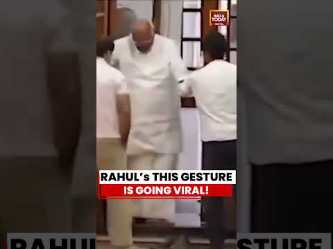 Rahul Gandhi Seen Fixing Kharge’s Shoes In Viral Moment #rahulgandhi #kharge #viralvideo