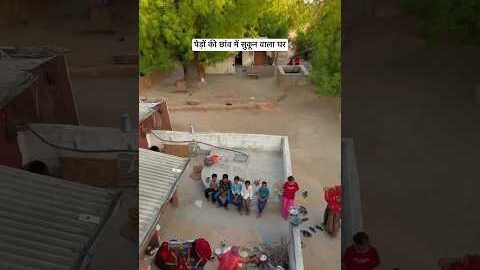 पेड़ों की छाँव में सुकून वाला घर😍 #villagelife  #desi #summer #house #youtubeshorts