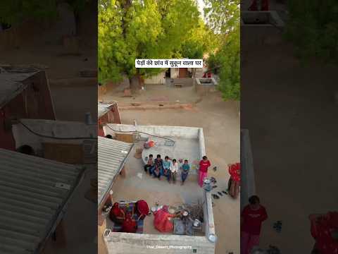 पेड़ों की छाँव में सुकून वाला घर😍 #villagelife  #desi #summer #house #youtubeshorts