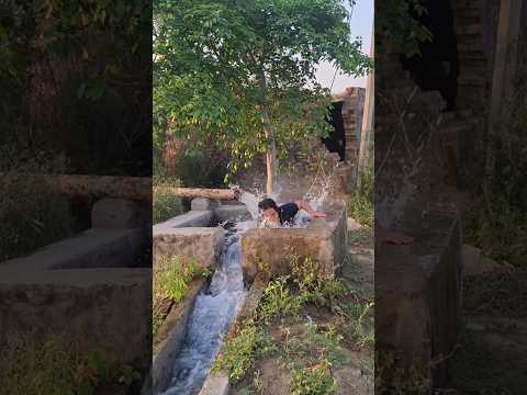 nha lo🥰🌾 ..#youtube #desi #lifestyle #village #trending #viral #lifestyle #song #shorts #trend