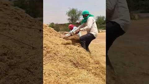 Amazing Desi Jugaad by Farming #Desi #Jugaad #Jugad #Farming #Kheti #Khetibadi #Agriculture #Tractor