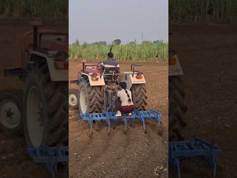 desi😍🥰🌾…#village #girl #desi #viralvideo #shorts #youtube #lifestyle #tractor #nishudaswal