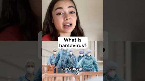 What is Hantavirus?
